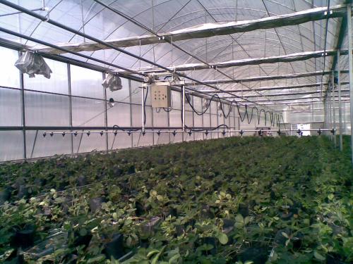 無土栽培，無土栽培技術，無土栽培設備