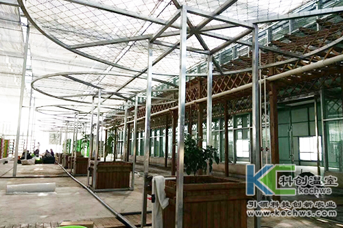 無(wú)土栽培,基質(zhì)栽培,水培