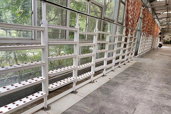 無土栽培，無土栽培技術，無土栽培設備