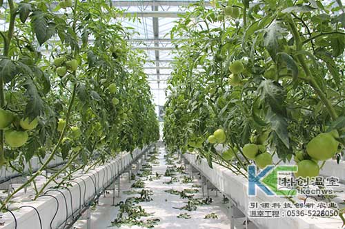 無土栽培，無土栽培技術，無土栽培設備