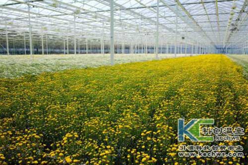 無(wú)土栽培，無(wú)土栽培技術(shù)，無(wú)土栽培設(shè)備