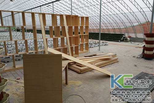 山西,無土栽培,無土栽培技術