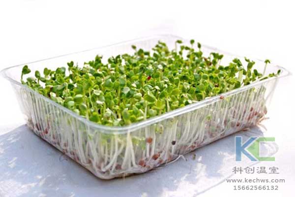 無土栽培，無土栽培基質