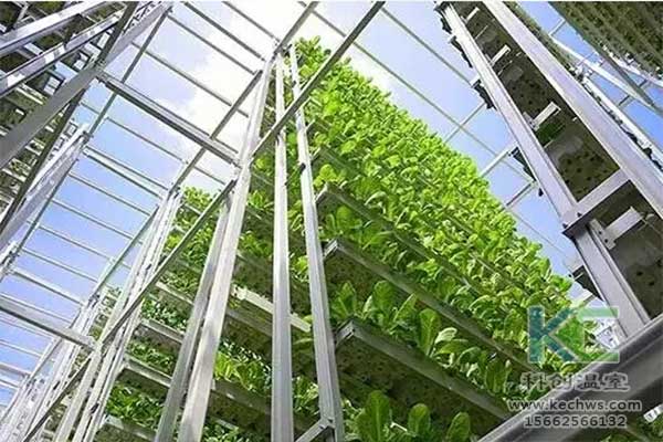 無(wú)土栽培，無(wú)土栽培技術(shù)，無(wú)土栽培設(shè)備
