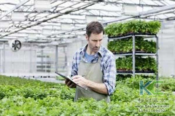 無土栽培，無土栽培技術，無土栽培設備