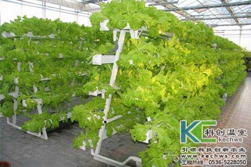 無土栽培，無土栽培技術，無土栽培設備