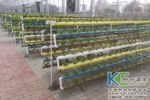 無土栽培，無土栽培技術，無土栽培設備