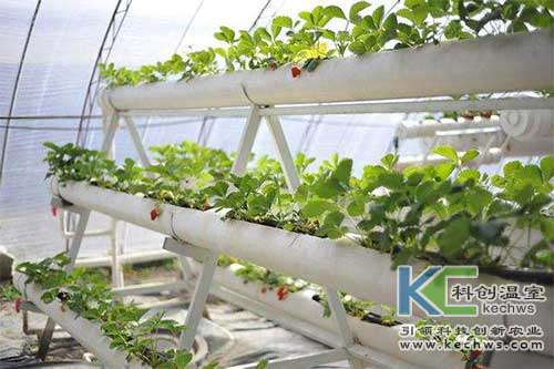 無土栽培，無土栽培技術(shù)，無土栽培設(shè)備