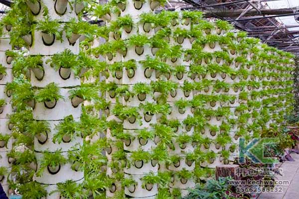 無土栽培，無土栽培技術，無土栽培設備