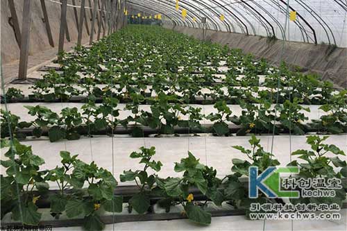 無土栽培，無土栽培技術(shù)，無土栽培設(shè)備