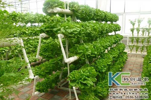 無土栽培,無土栽培技術,無土栽培設備