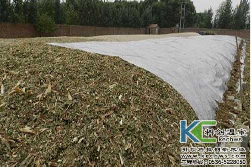 無土栽培,無土栽培技術,無土栽培設備