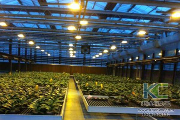 無土栽培，無土栽培技術，無土栽培設備