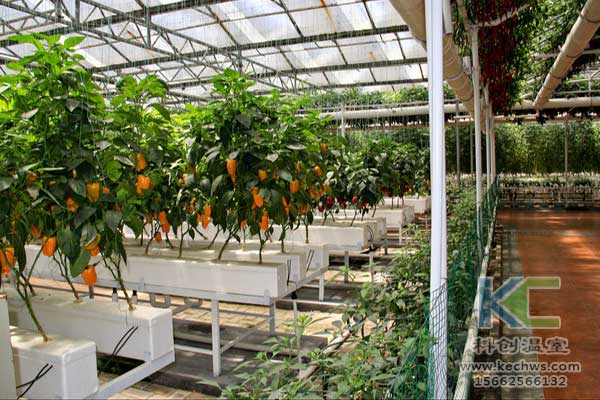 無土栽培，無土栽培技術，無土栽培設備