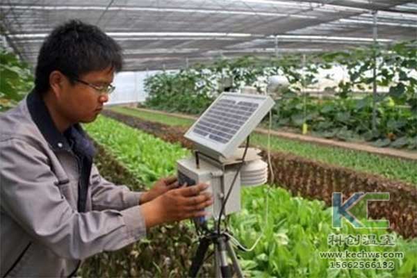 無土栽培，無土栽培技術(shù)，無土栽培設(shè)備