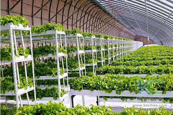無土栽培，無土栽培技術，無土栽培設備