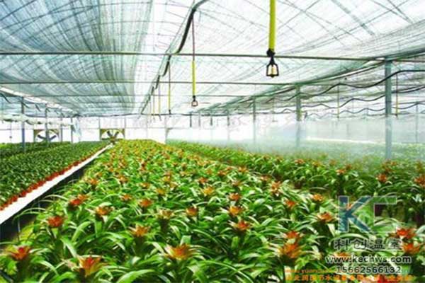 無土栽培，無土栽培技術，無土栽培設備