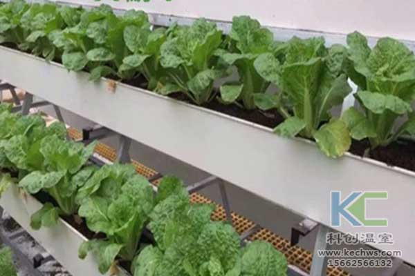 無土栽培，無土栽培技術，無土栽培設備
