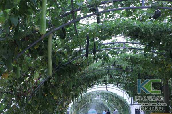 無土栽培，無土栽培技術，無土栽培設備