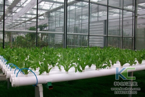 無土栽培技術，無土栽培設備，無土栽培，溫室大棚