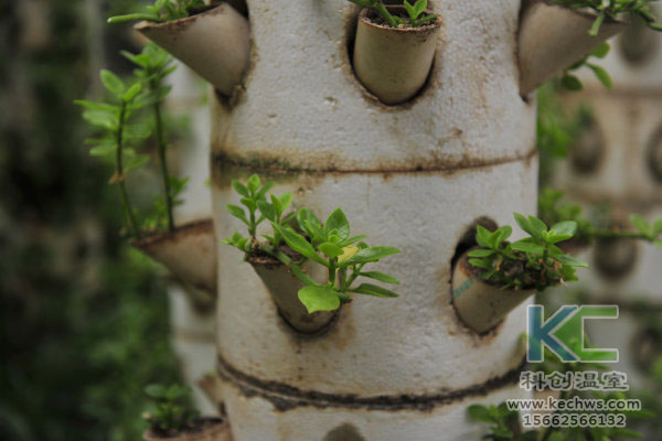 無(wú)土栽培,無(wú)土栽培技術(shù),無(wú)土栽培設(shè)備