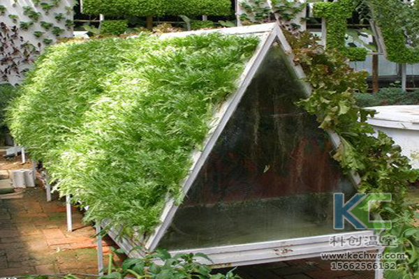 無(wú)土栽培技術(shù)，無(wú)土栽培設(shè)備，基質(zhì)栽培，溫室大棚