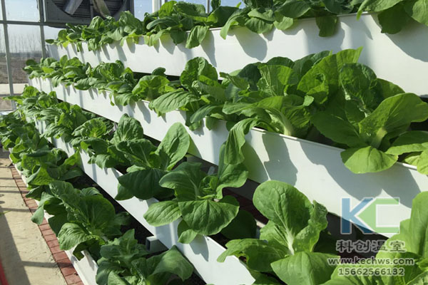 無(wú)土栽培,無(wú)土栽培技術(shù),無(wú)土栽培設(shè)備