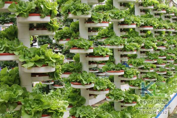 無土栽培技術，無土栽培設備，無土栽培，溫室大棚