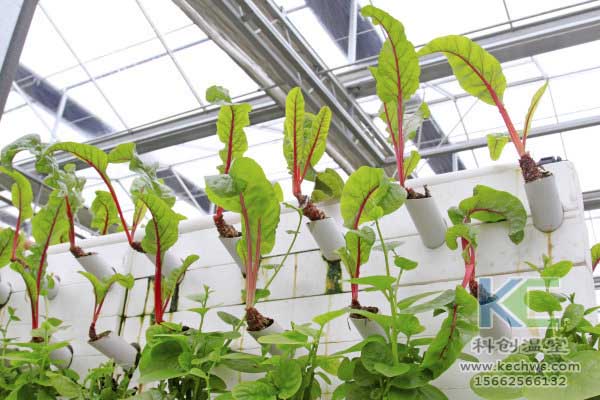 無土栽培，無土栽培技術，無土栽培設備