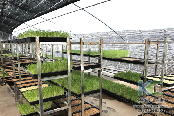 無(wú)土栽培技術(shù)，無(wú)土栽培設(shè)備，基質(zhì)栽培，溫室大棚