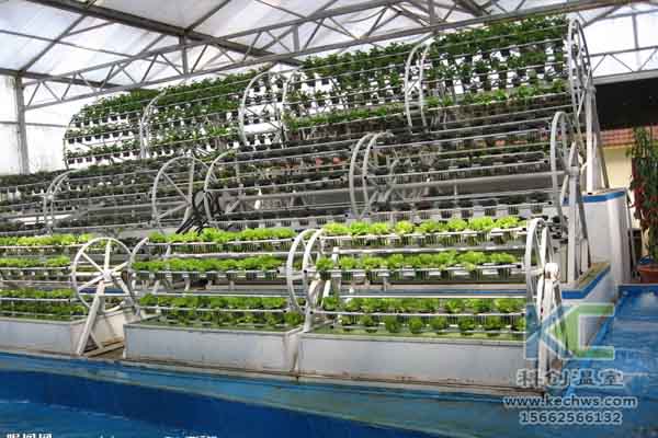 無土栽培，無土栽培技術，無土栽培設備