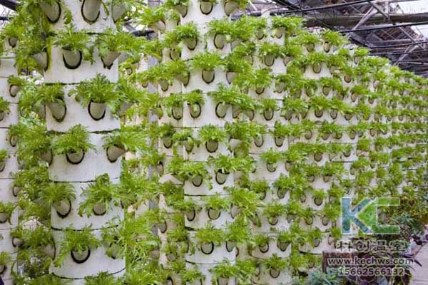 無土栽培，無土栽培技術(shù)，無土栽培設(shè)備，蔬菜栽培