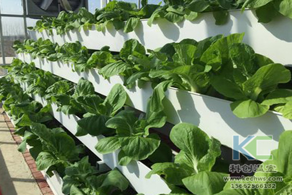 無土栽培技術，無土栽培設備，無土栽培，溫室大棚