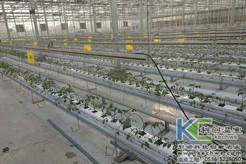 無土栽培，無土栽培技術(shù)，無土栽培設(shè)備