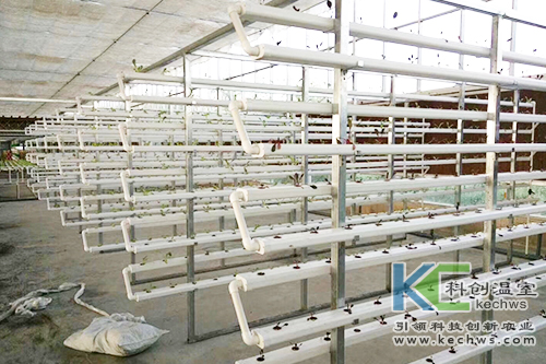 無(wú)土栽培,基質(zhì)栽培,水培