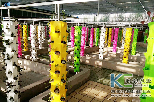 無(wú)土栽培,基質(zhì)栽培,水培