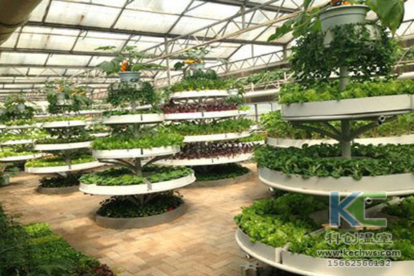 蔬菜無(wú)土栽培，無(wú)土栽培技術(shù)，無(wú)土栽培設(shè)備，無(wú)土栽培