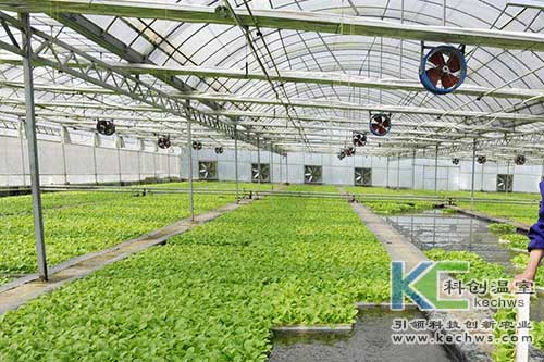 無(wú)土栽培，無(wú)土栽培技術(shù)，無(wú)土栽培設(shè)備