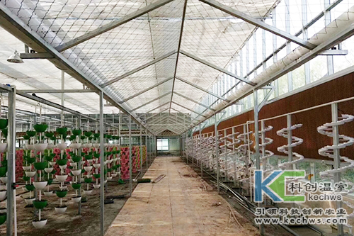 無(wú)土栽培,基質(zhì)栽培,水培