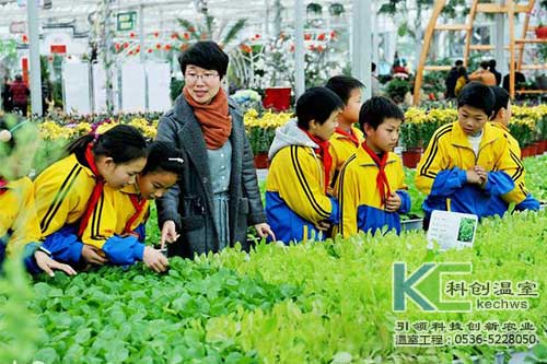 無土栽培，無土栽培技術(shù)，無土栽培設(shè)備