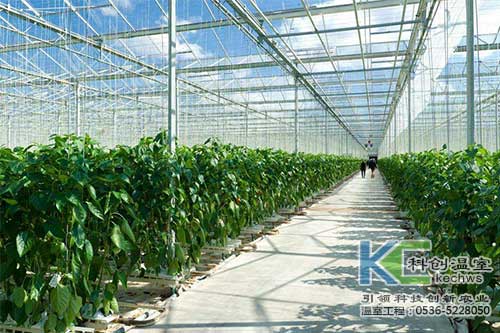 無(wú)土栽培，無(wú)土栽培技術(shù)，無(wú)土栽培設(shè)備