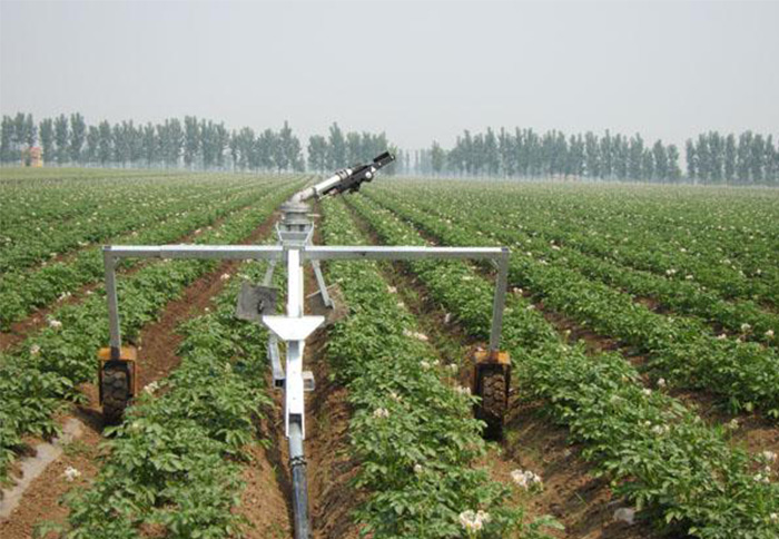 無(wú)土栽培，無(wú)土栽培技術(shù)，無(wú)土栽培設(shè)備