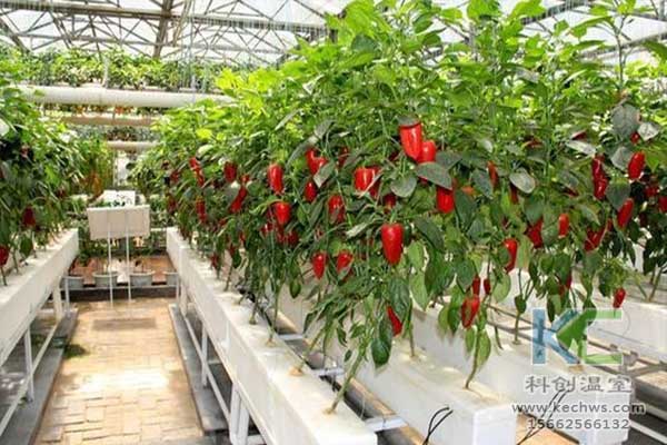 無土栽培，無土栽培技術，無土栽培設備