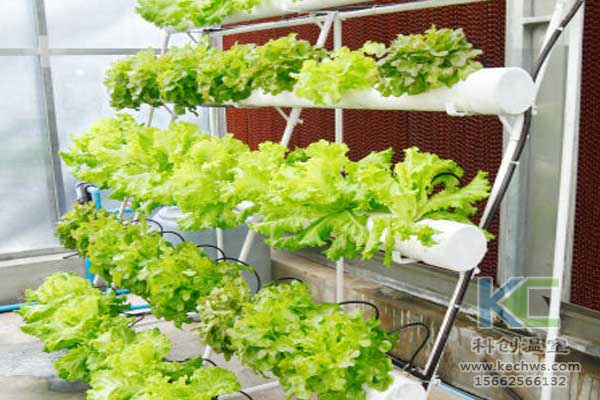 無土栽培，無土栽培技術，無土栽培設備