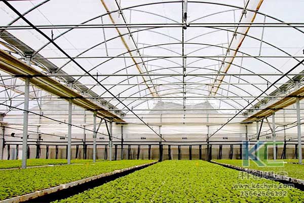 無土栽培，無土栽培技術，無土栽培設備