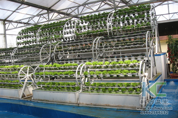 無土栽培,設備,無土栽培設備,設施