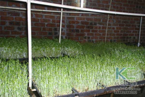 無土栽培，無土栽培基質