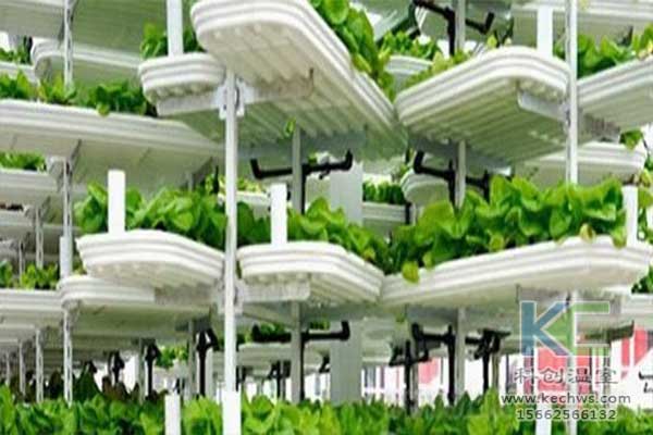 無(wú)土栽培，無(wú)土栽培技術(shù)，無(wú)土栽培設(shè)備