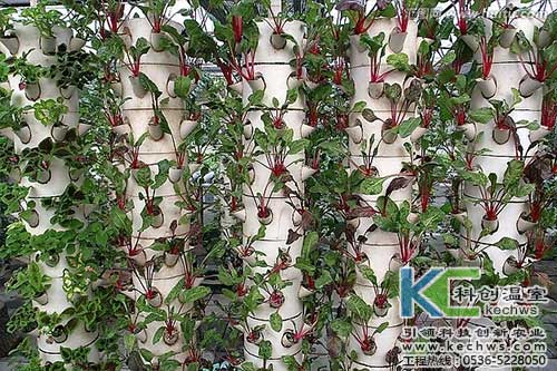 無(wú)土栽培，無(wú)土栽培技術(shù)，無(wú)土栽培設(shè)備