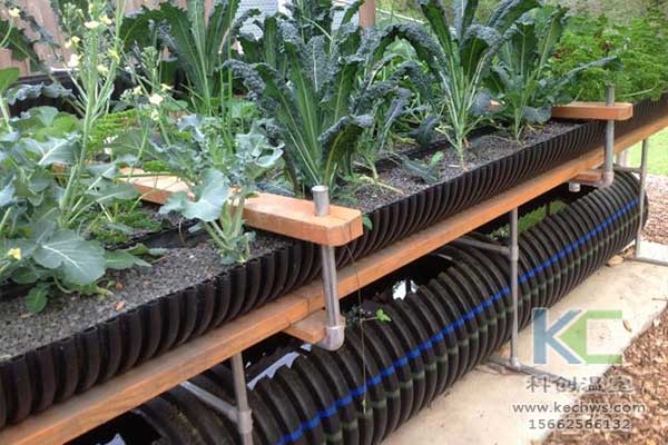 無土栽培，無土栽培技術，無土栽培設備